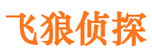 廛河市婚姻出轨调查